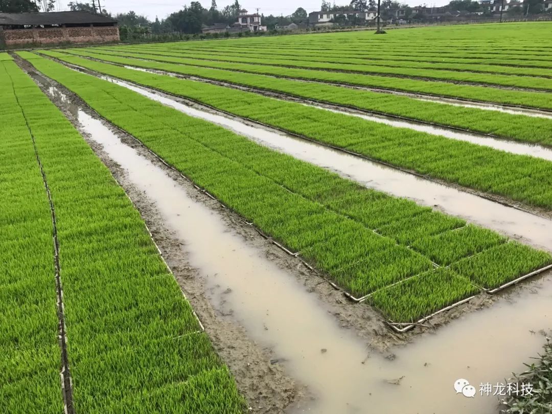 足球赌注软件APP