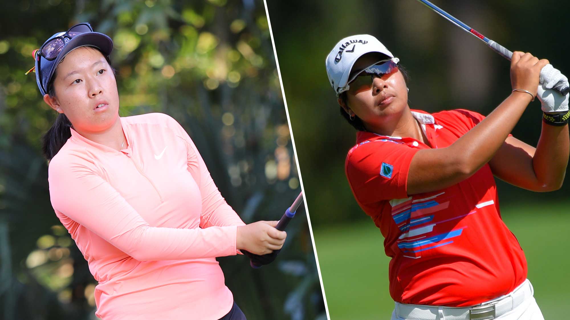 足球赌注软件APP