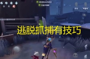 十大足球赌注软件排行榜