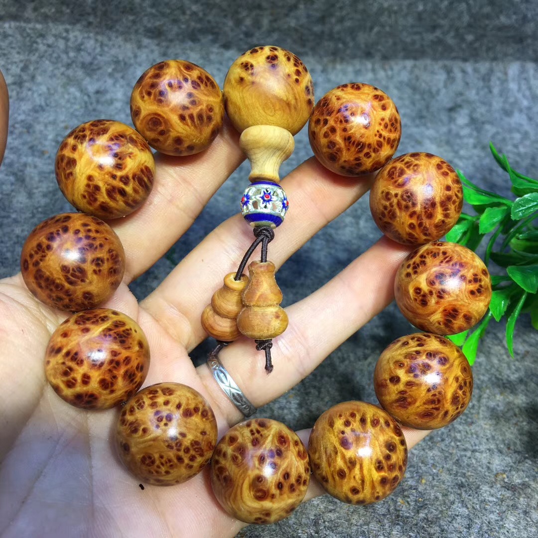 十大足球赌注软件排行榜