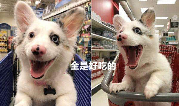 十大足球赌注软件