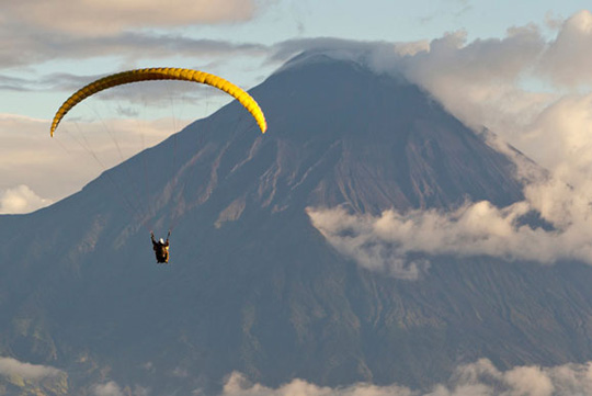 足球赌注软件APP