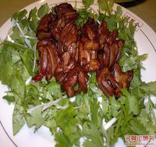 足球赌注软件APP