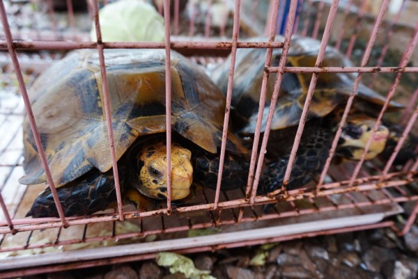 十大足球赌注软件