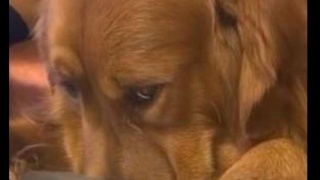 十大足球赌注软件排行榜