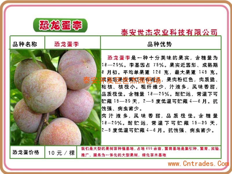 足球赌注软件APP_特朗普最大筹码失效!北京释放准备武统信号(图4) 十大足球赌注软件