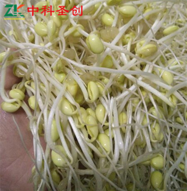 足球赌注软件APP