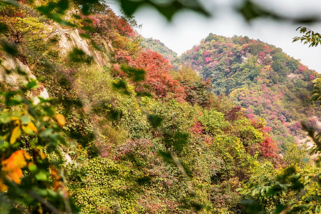 【足球赌注软件】李敏镐谈入伍谈感想:还是感觉有很多遗憾(图1) 十大足球赌注软件