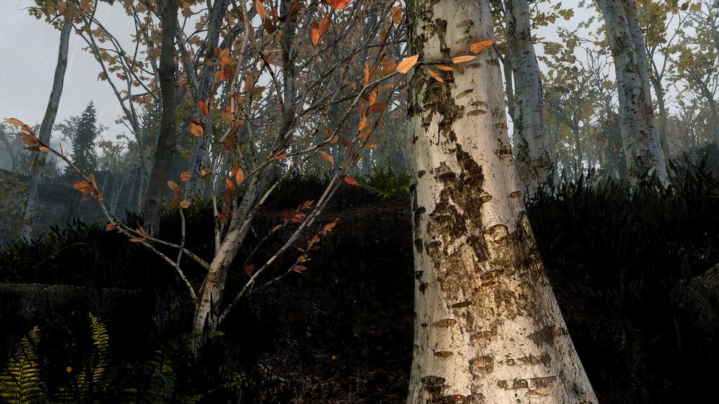 十大足球赌注软件|姜Gary儿子的语言能力超强 圈粉无数(图4) 足球赌注软件APP