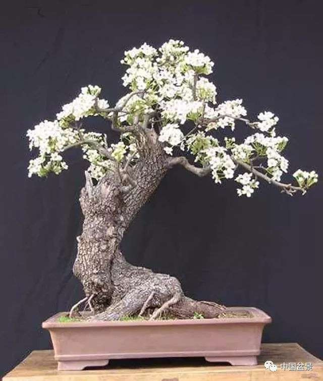 31省份敲定“一带一路”方案‘足球赌注软件’(图4) 十大足球赌注软件