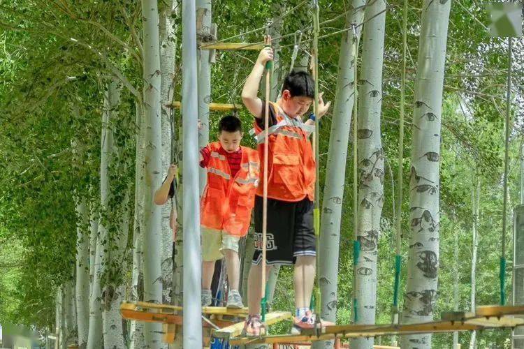 十大足球赌注软件|
“我是一个兵”军事夏令营等你来战!(图23) 十大足球赌注软件|
“我是一个兵”军事夏令营等你来战!(图23)